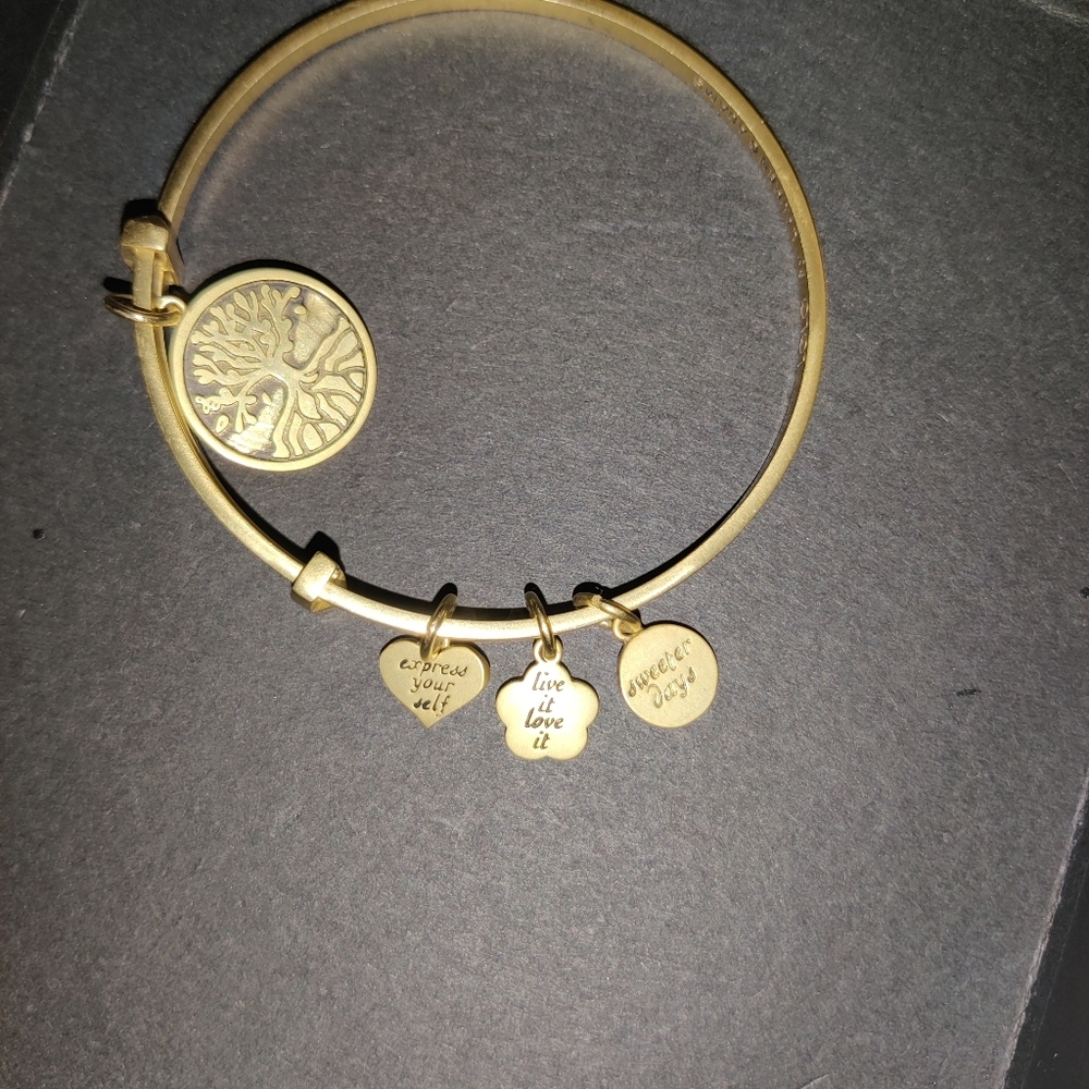 Woman's bracelet